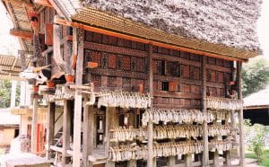 Etnie del Sulawesi casa toraja