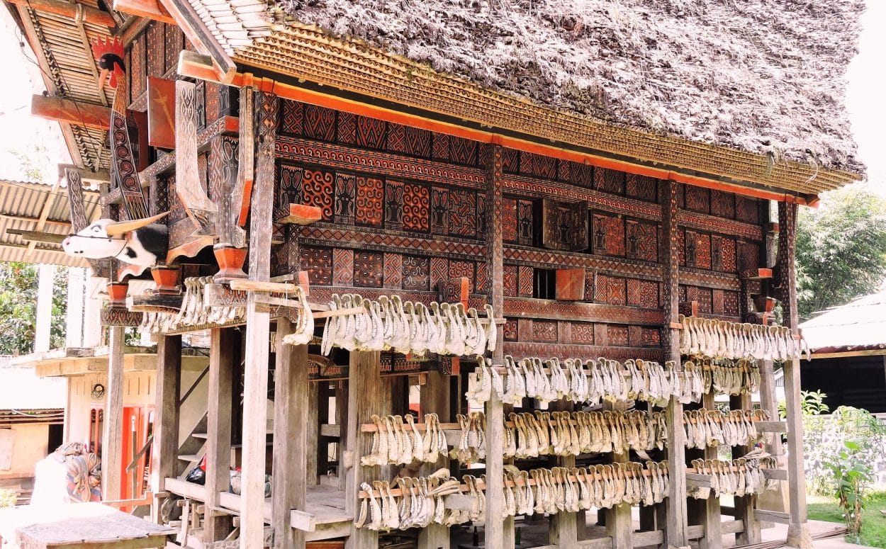 Etnie del Sulawesi casa toraja