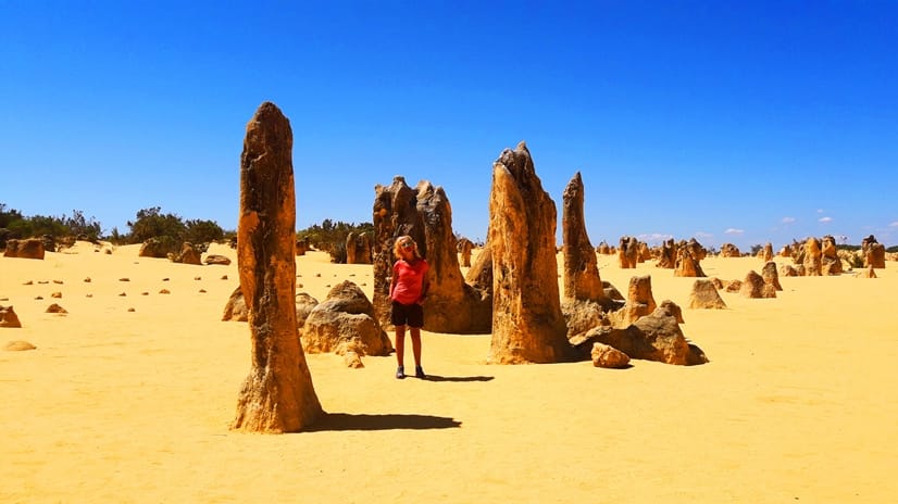Australia deserto dei pinnacoli colori