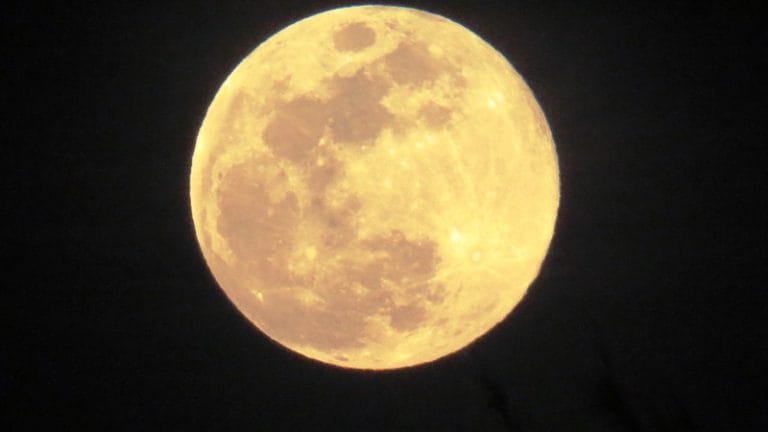 Bali luna Purnama