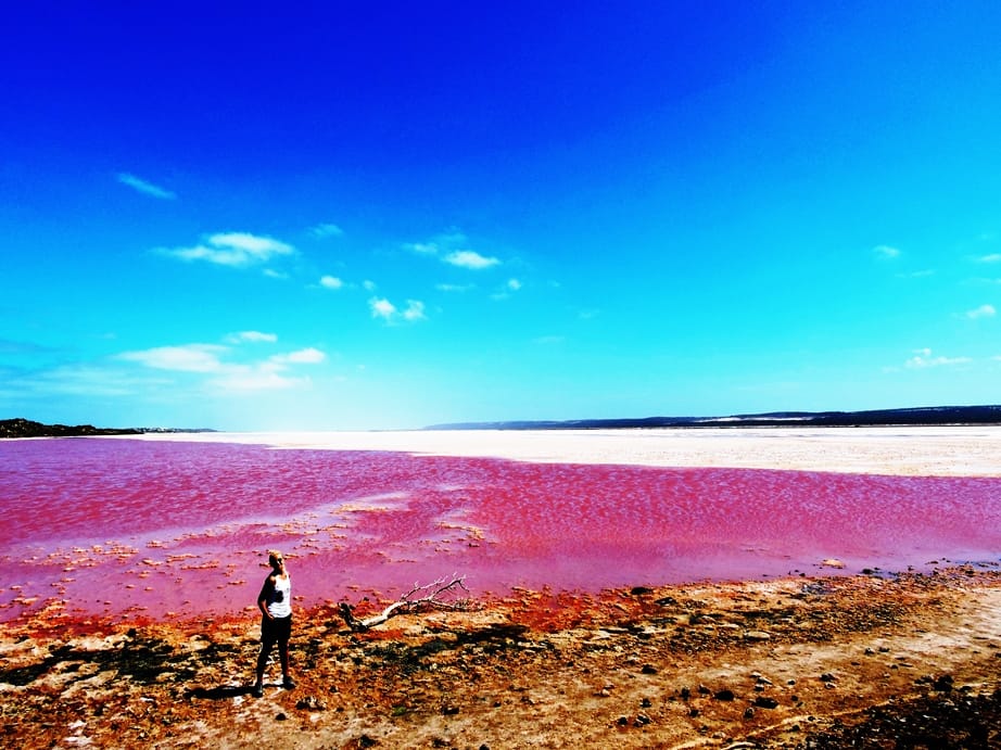 hutt lagoon rosa infinito