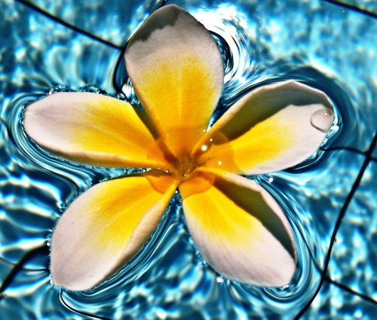 Vivere a Bali 5 motivi per partire 4 Vivere a Bali 5 motivi per farlo