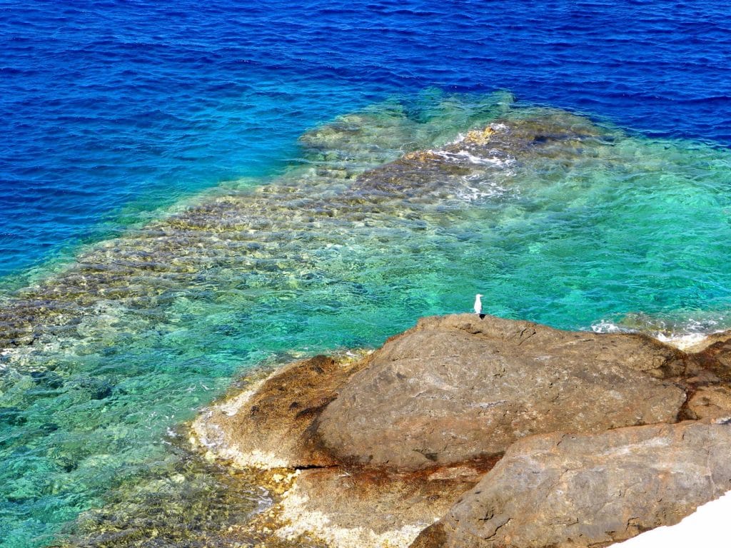 Folegandros trasparenza Folegandros trasparenza