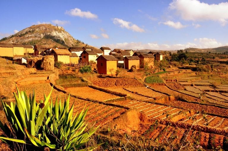 altopiani del Madagascar