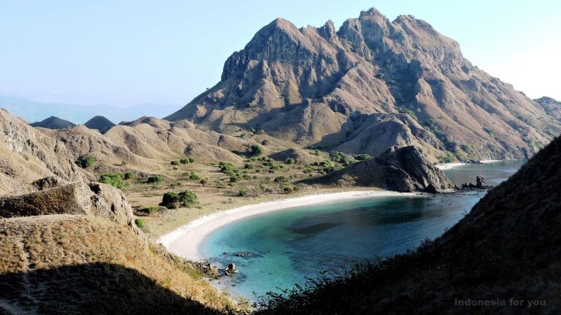 Komodo sguardo su padar Komodo sguardo su padar