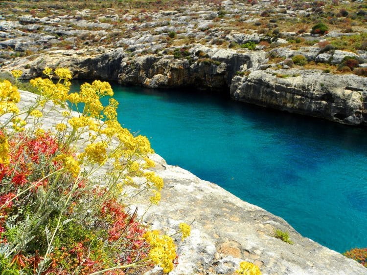 gozo marr ix xinn colori