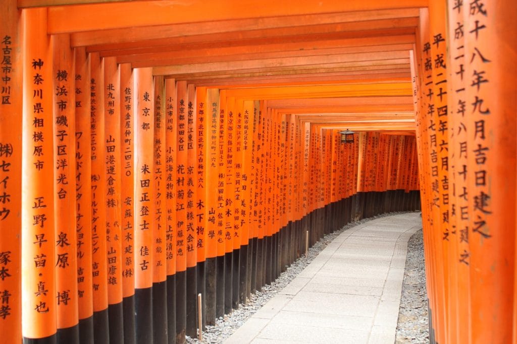 Giappone tori a Fushimi Inari