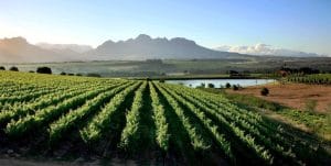 Garden Route e Winelands Sudafrica i panorami