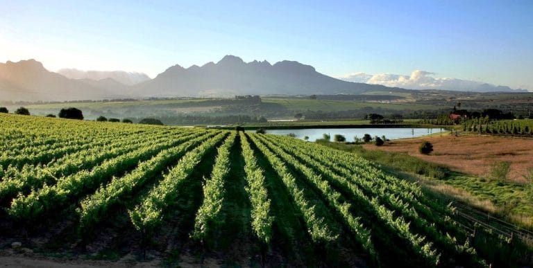 Garden Route e Winelands Sudafrica 2 Garden Route e Winelands Sudafrica i panorami