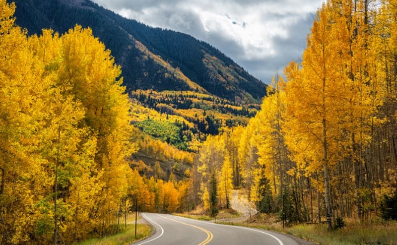 Il foliage negli Stati Uniti 8 Foliage-Colorado