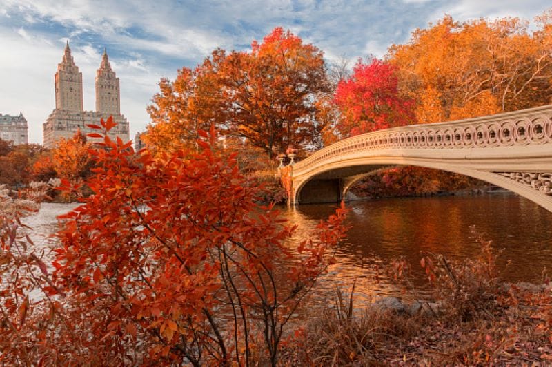 Il foliage negli Stati Uniti 5 Foliage Central Park