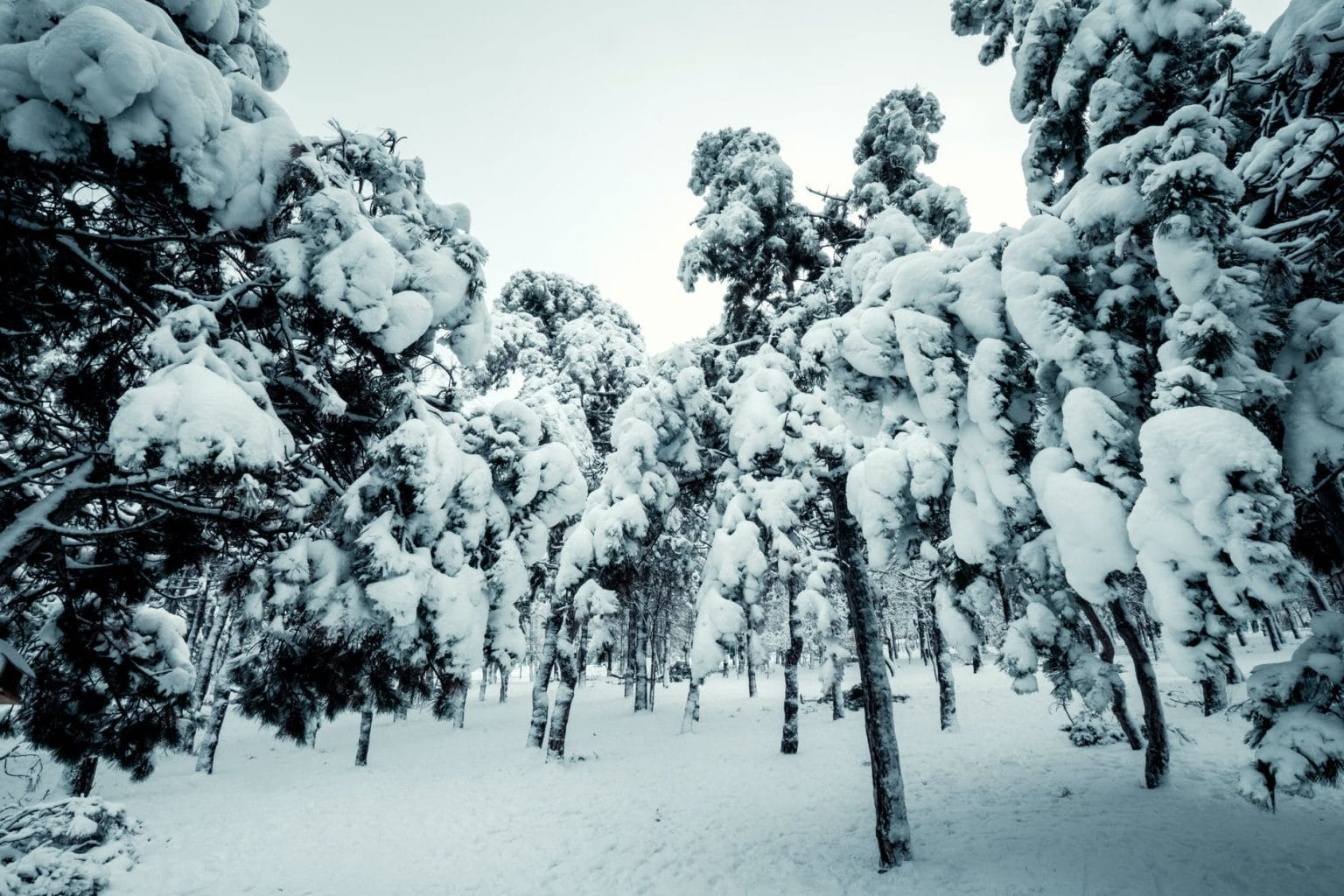 gennaio dove vado in viaggio