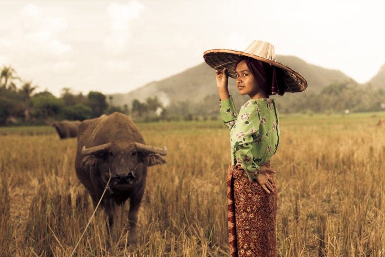Minangkabau donne leggendarie 7 photo of woman standing near carabao