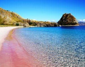 Komodo isole pink beach
