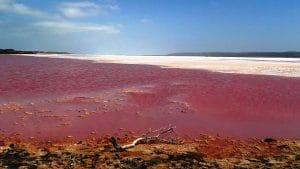 Hutt lagoon western Australia