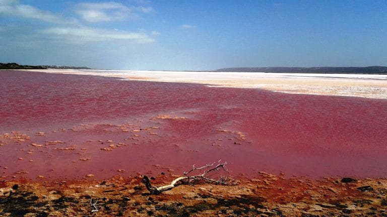 Hutt Lagoon magia rosa 2 Hutt lagoon western Australia