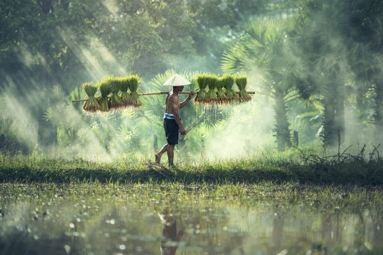 cure tradizionali asiatiche