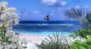 Bira beach Sulawesi ... in volo