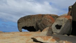 Kangaroo island