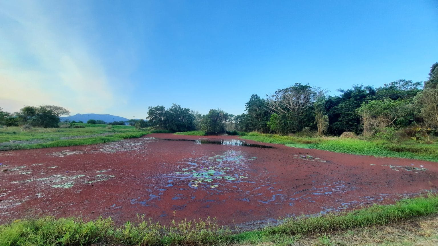 TYTO Queensland