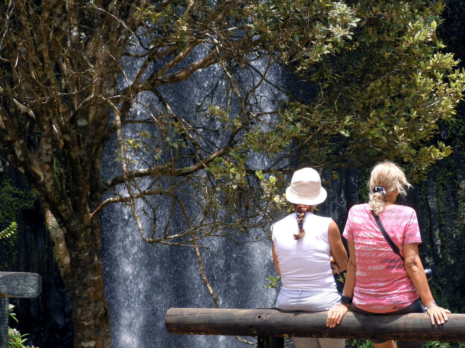 Atherton Tablelands le cascate