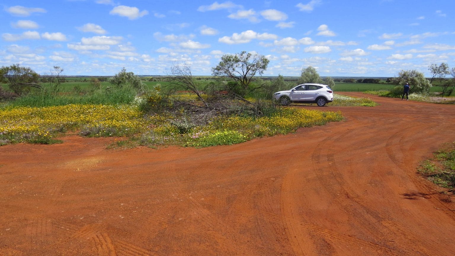 Viaggio in western australia fiori e bush