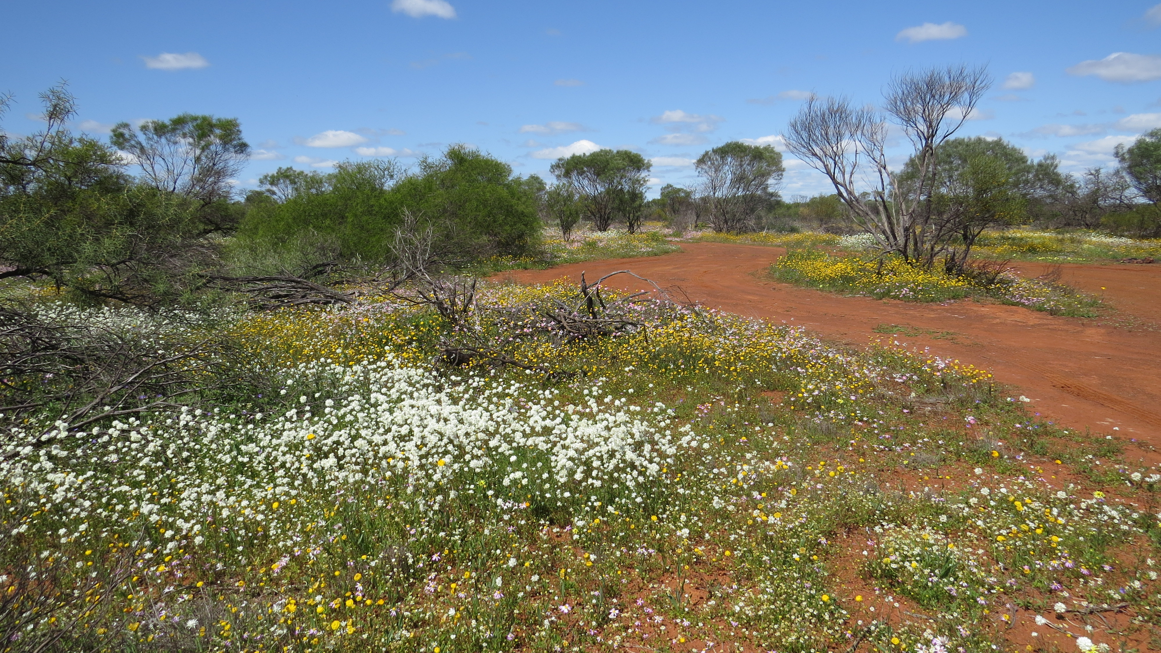 Viaggio in Western Australia