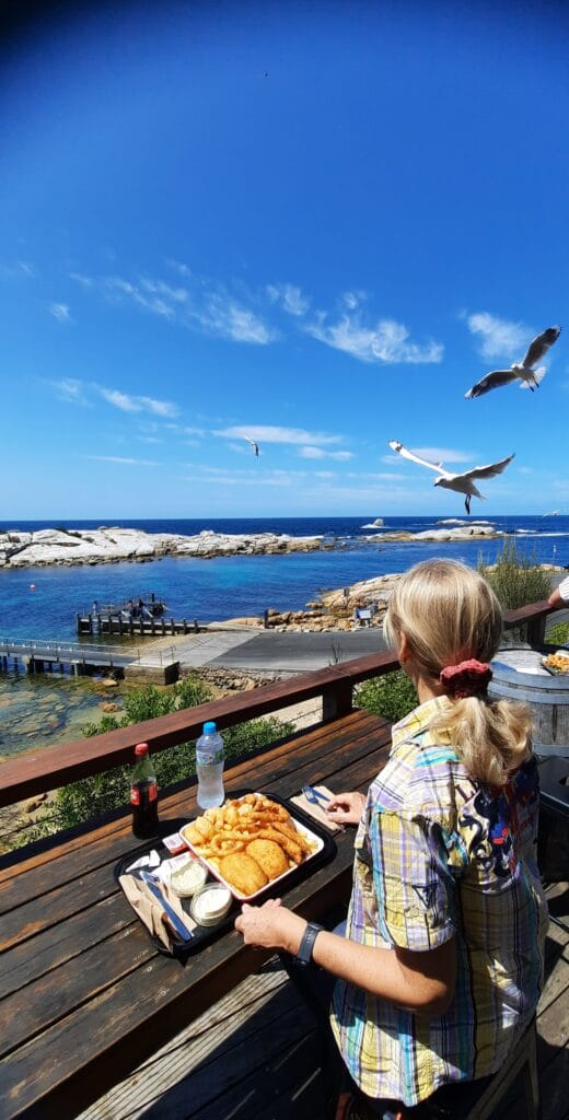pranzo di pesce con i gabbiani a Bicheno pranzo di pesce con i gabbiani a Bicheno