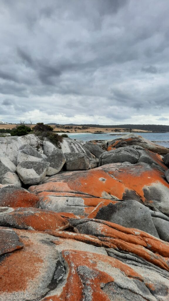 bay of fires i suoi colori bay of fires i suoi colori