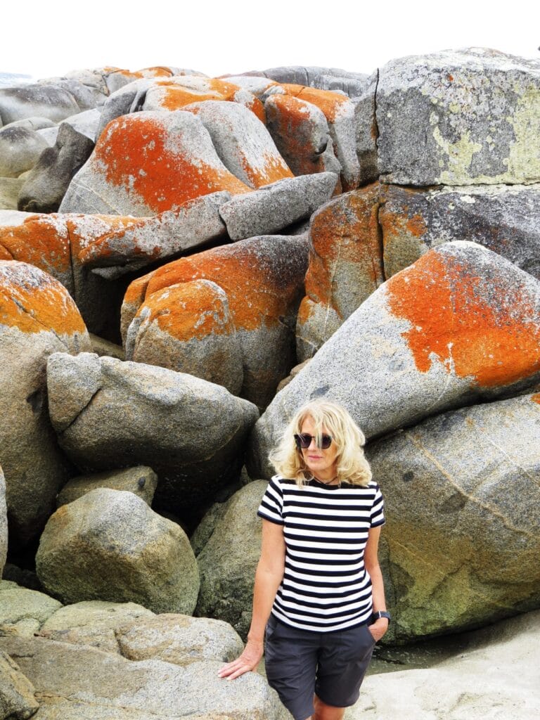 costa est della Tasmania bay of fires costa est della Tasmania bay of fires