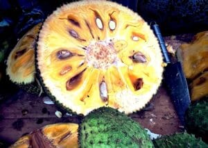 jackfruit
