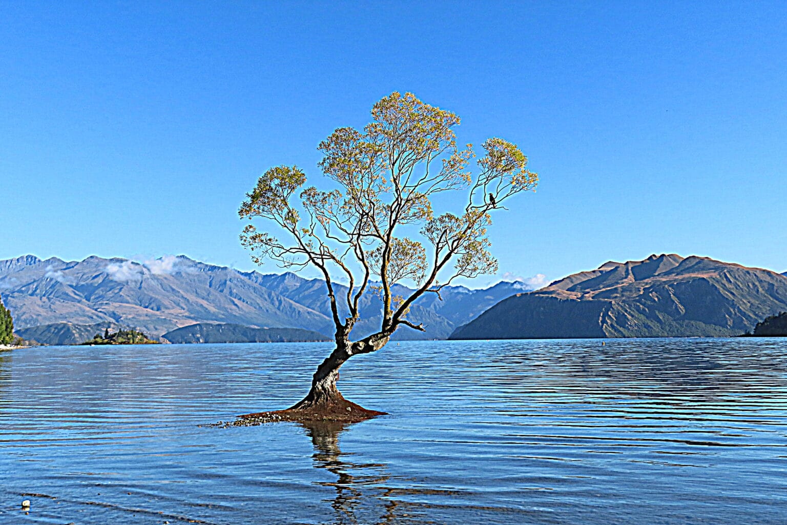 Nuova Zelanda 1 nuova zelanda - atearoa