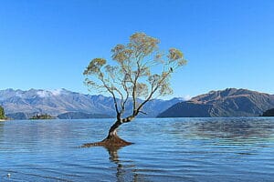 nuova zelanda - atearoa