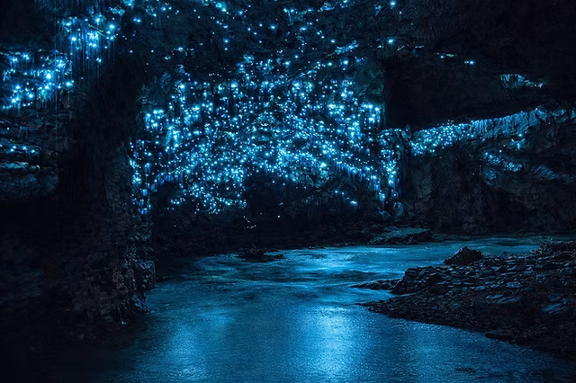 Waitomo 