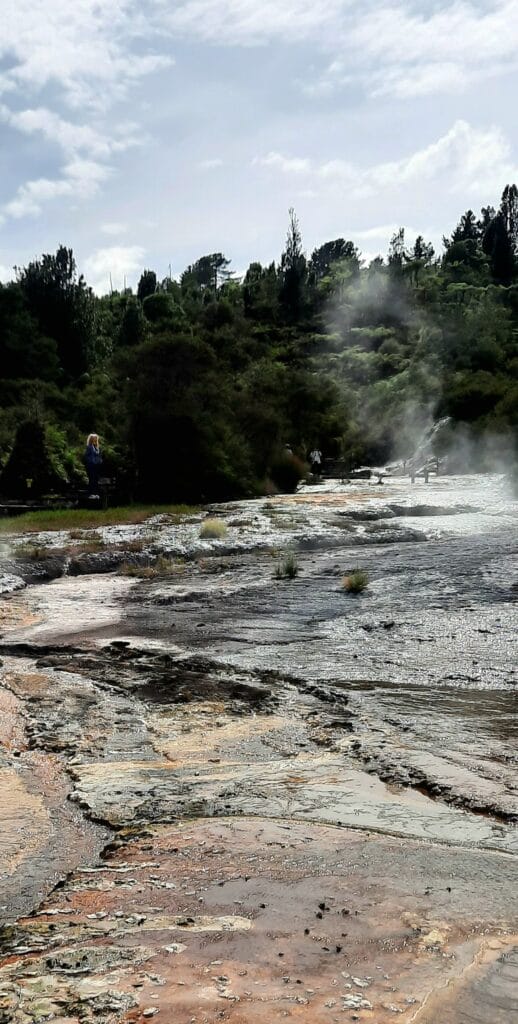 orakei korako terrazze di silicio e fumarole