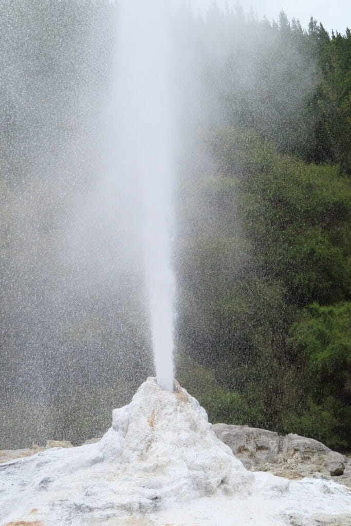 Wai O tapu geyser Lady knox