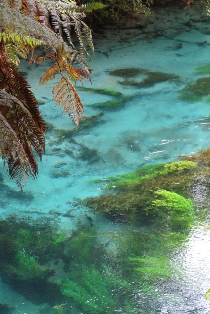 blue springs