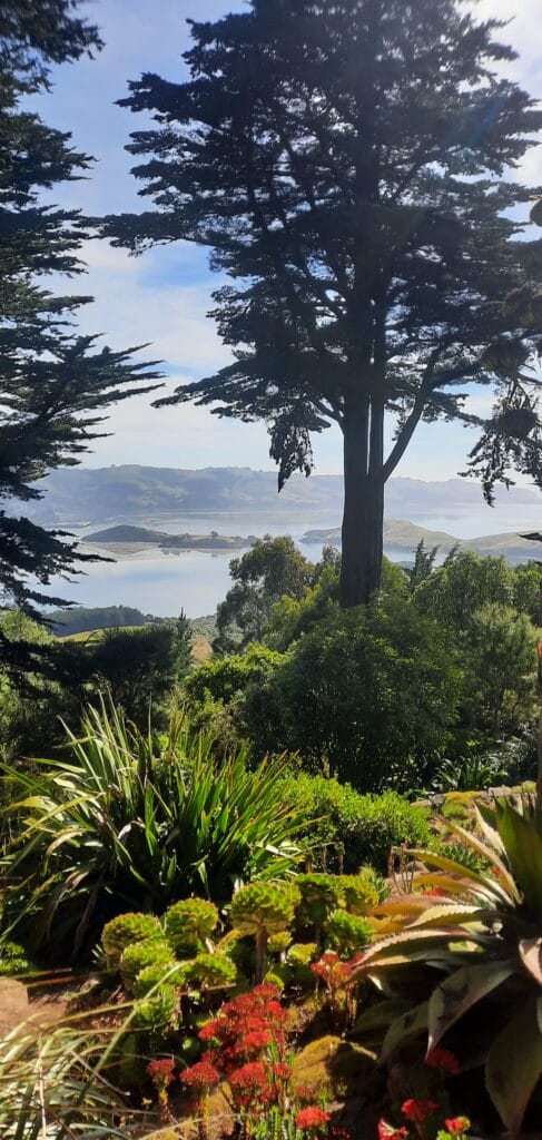 otago penisola vista dal larnach castle