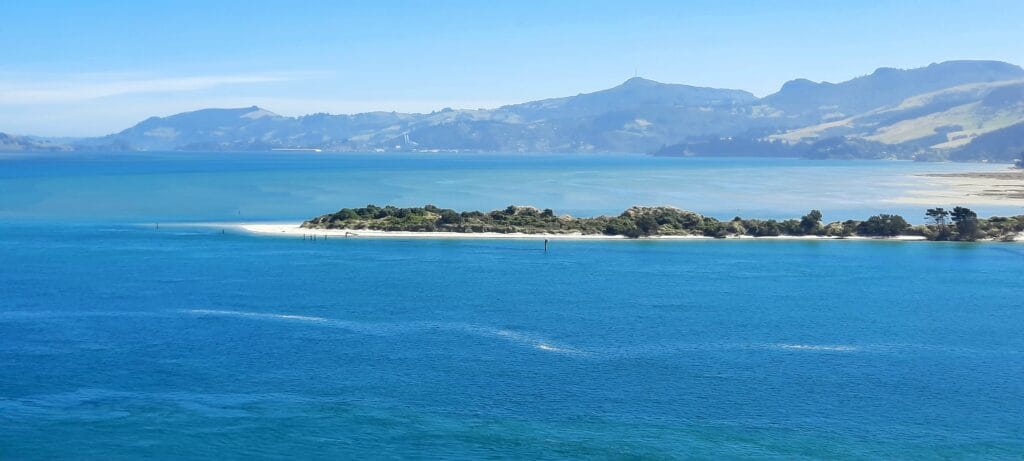 Otago penisola vista 