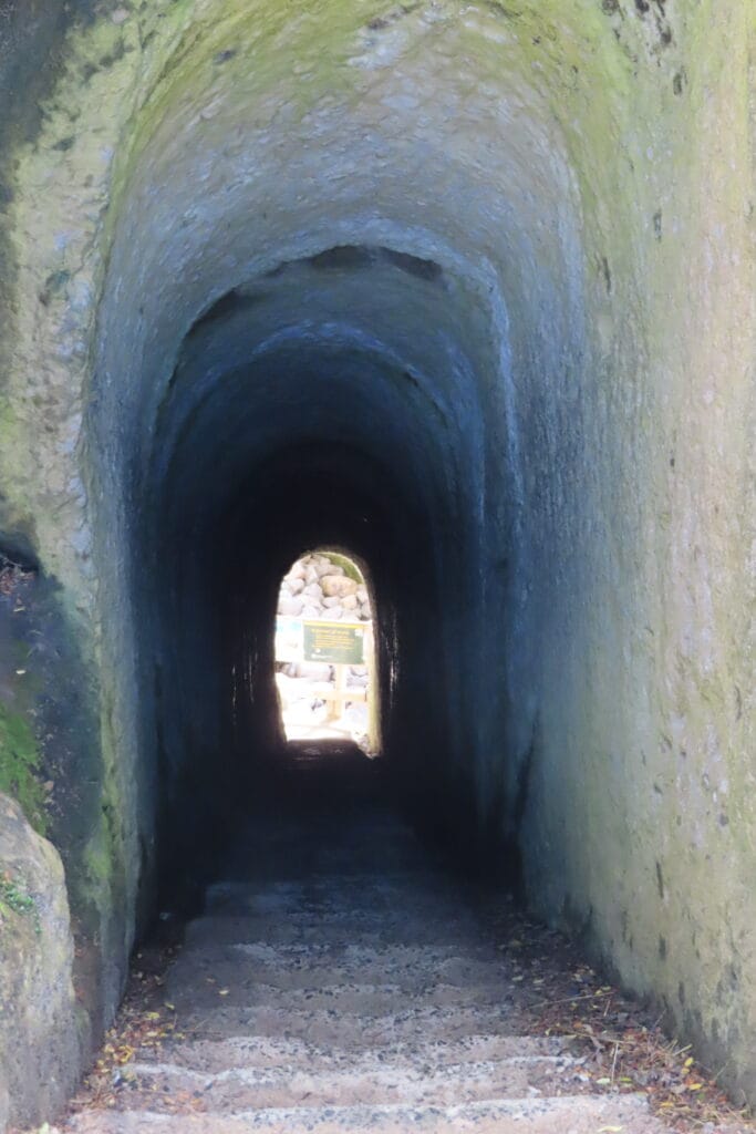 Otago penisola - tunnel beach 
