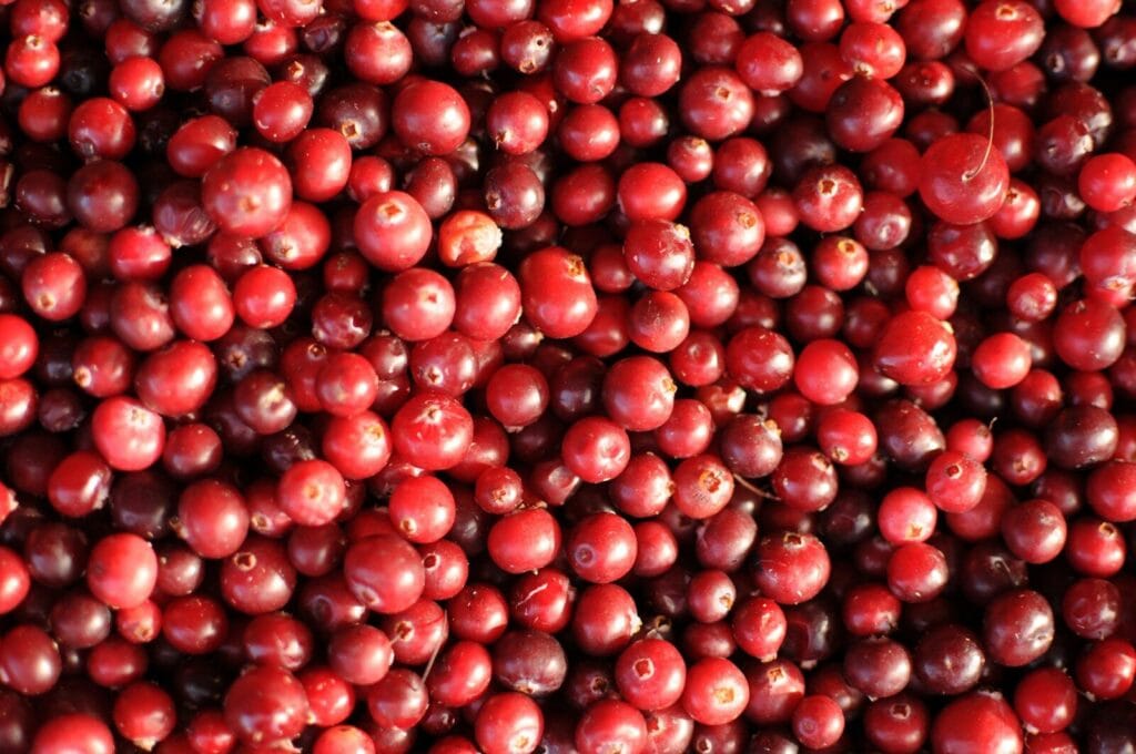 Cranberry