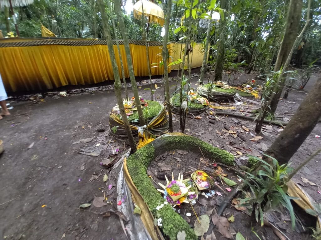 pura sabat daat gli alberi