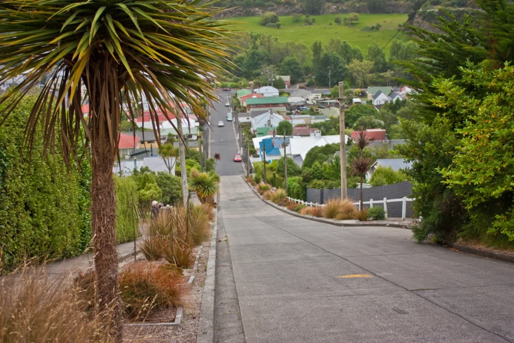 baldwin street Dunedin